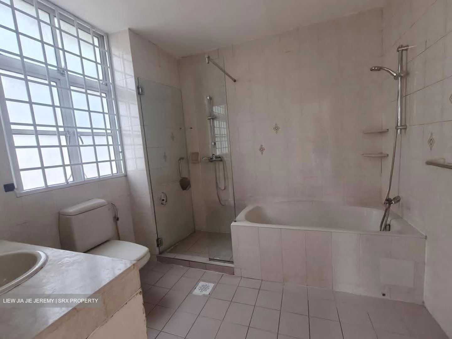 La Suisse (D11), Condominium #619586791